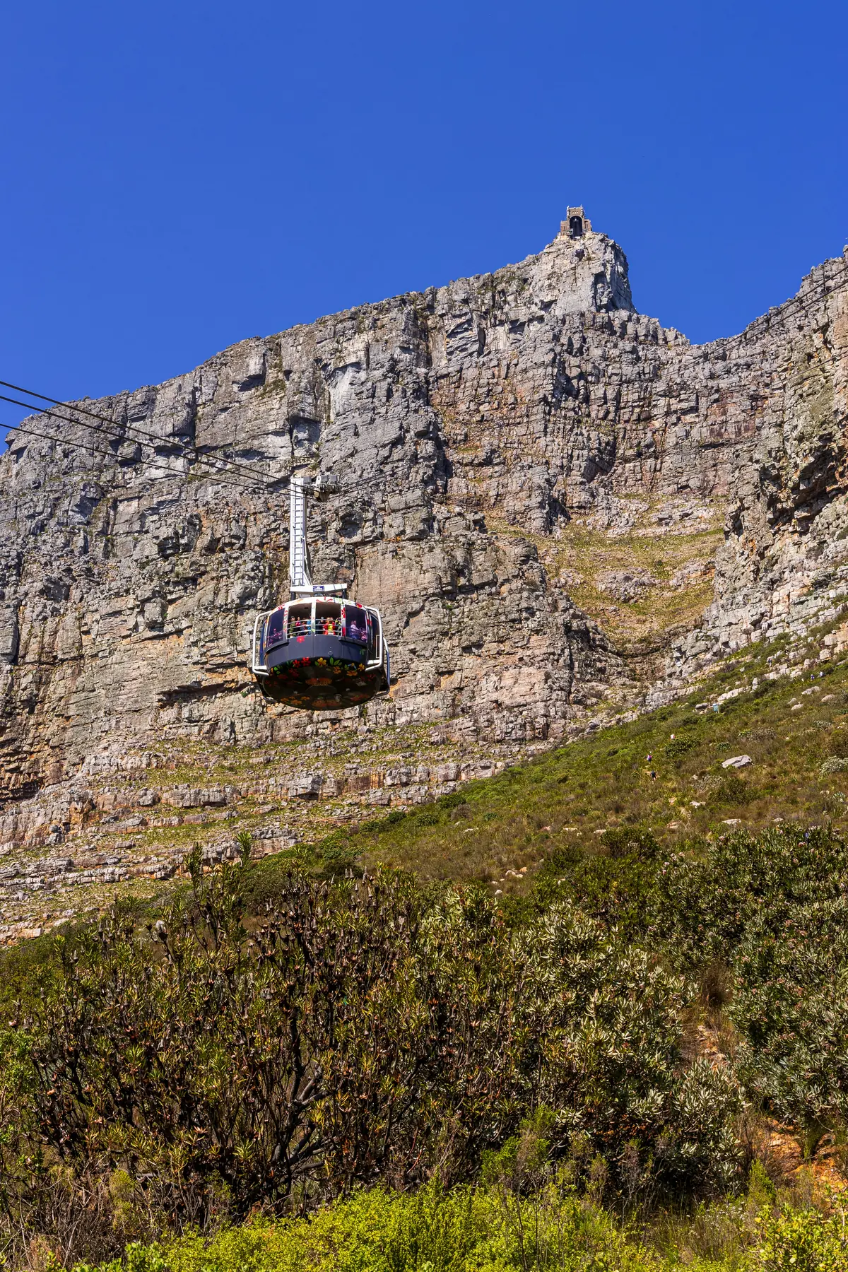 Table Mountain