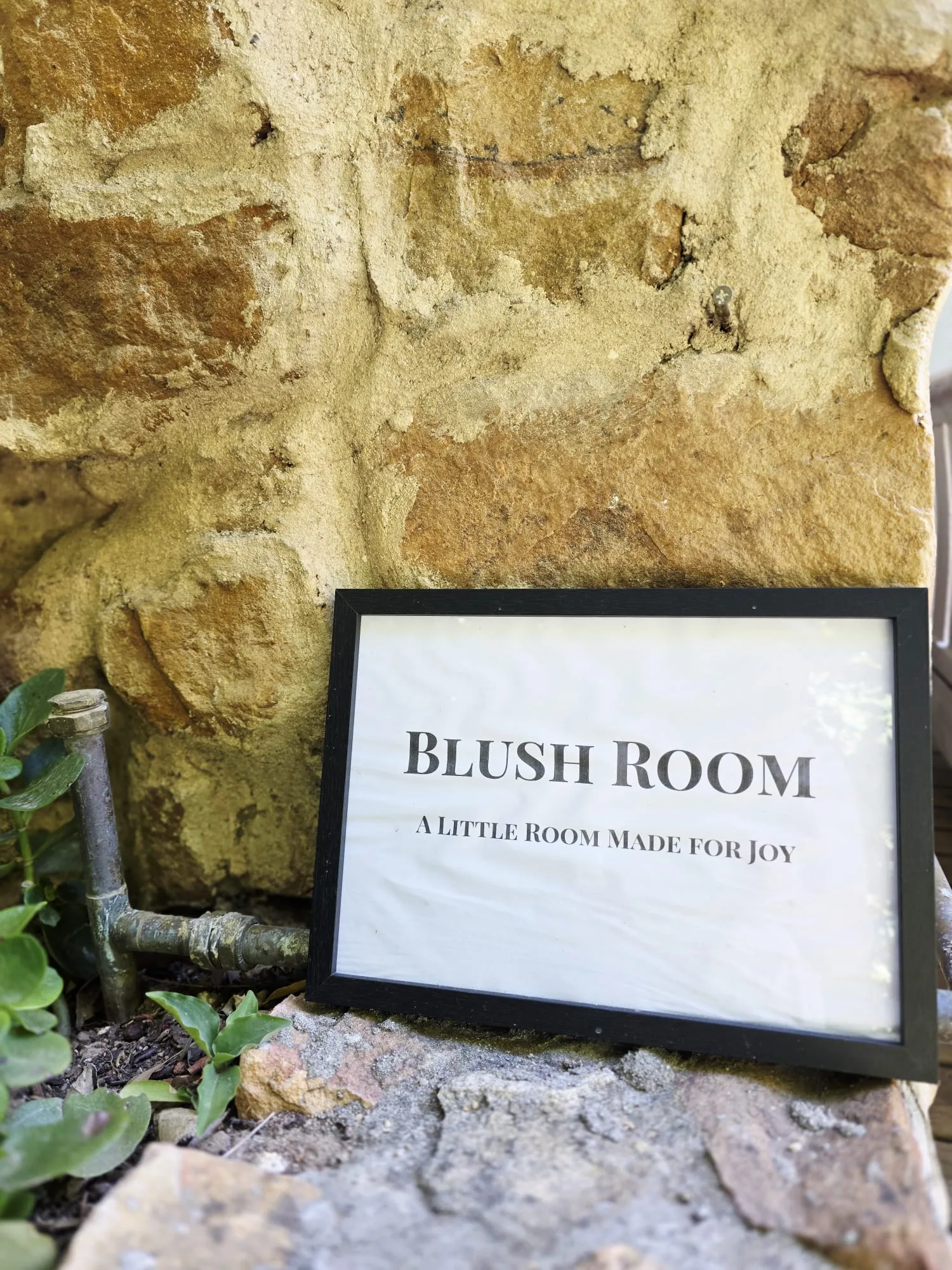 Blush Room
