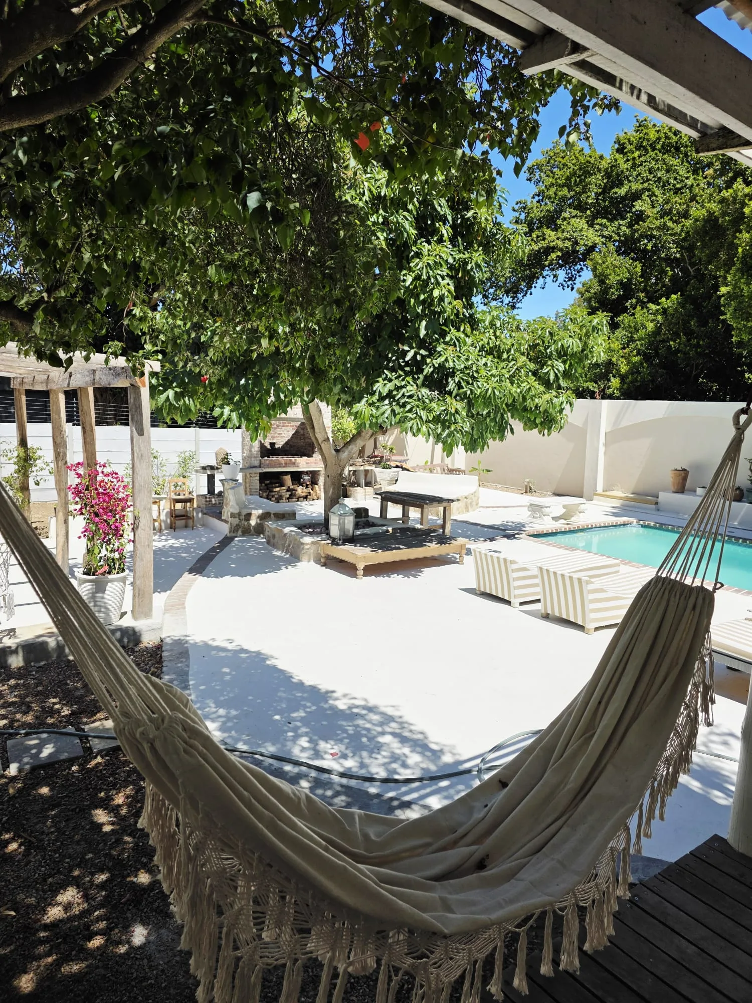 Hammock with pool and pergola beyond