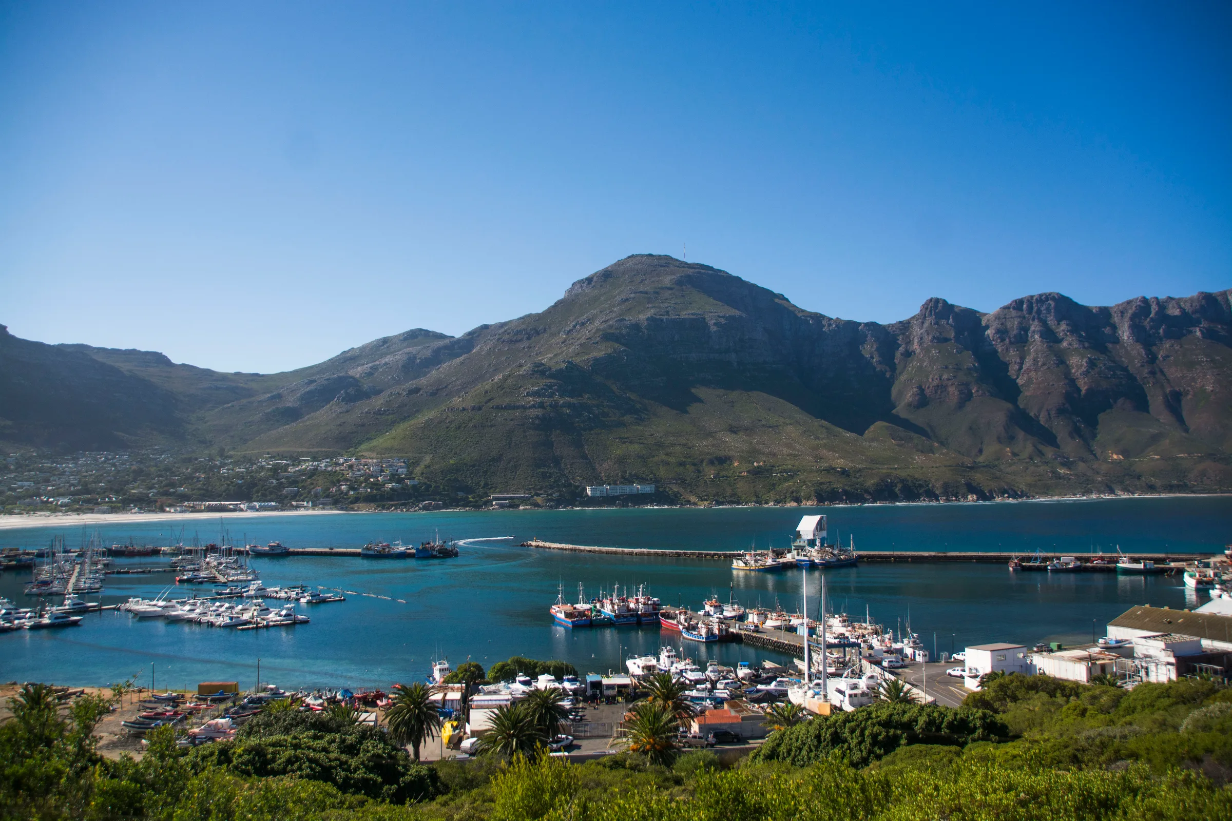 Harbour House — sea-facing apartment above Hout Bay Harbour