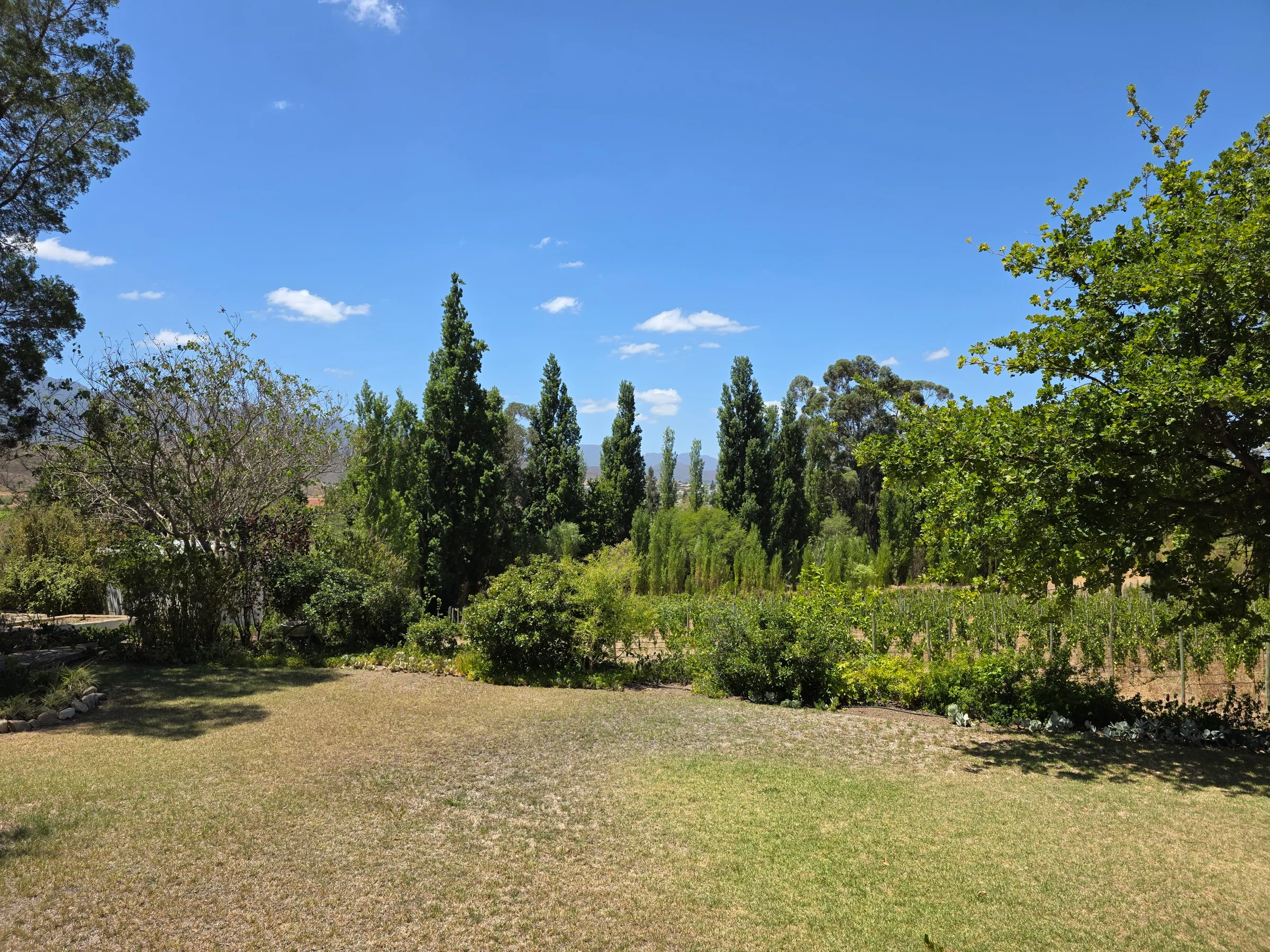 Natural South African settings