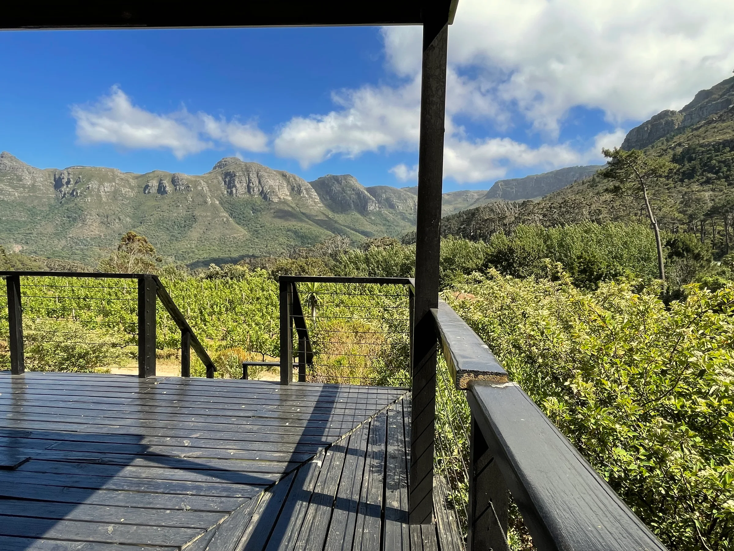 Silvermist Wine Farm — deck with vineyard and mountain view